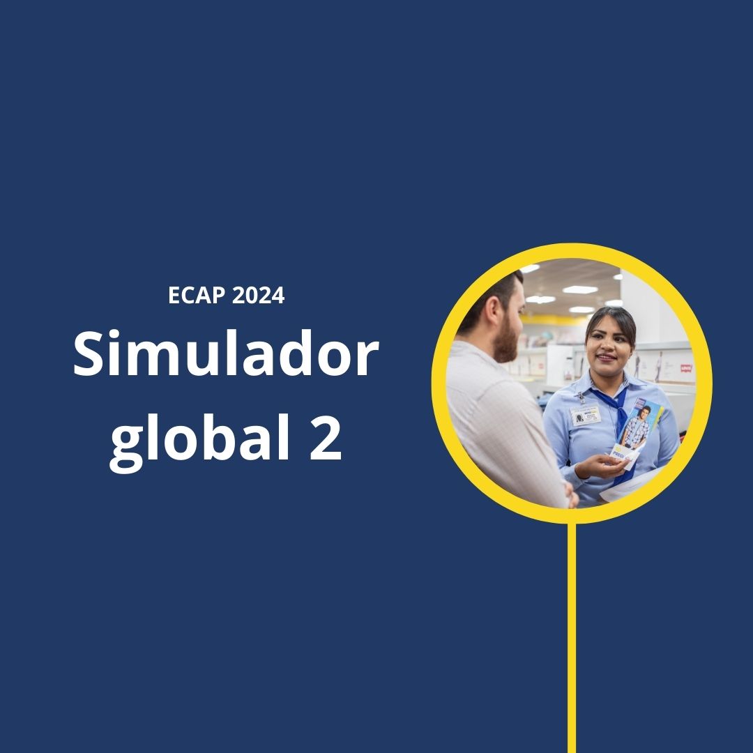 Simulador global 2