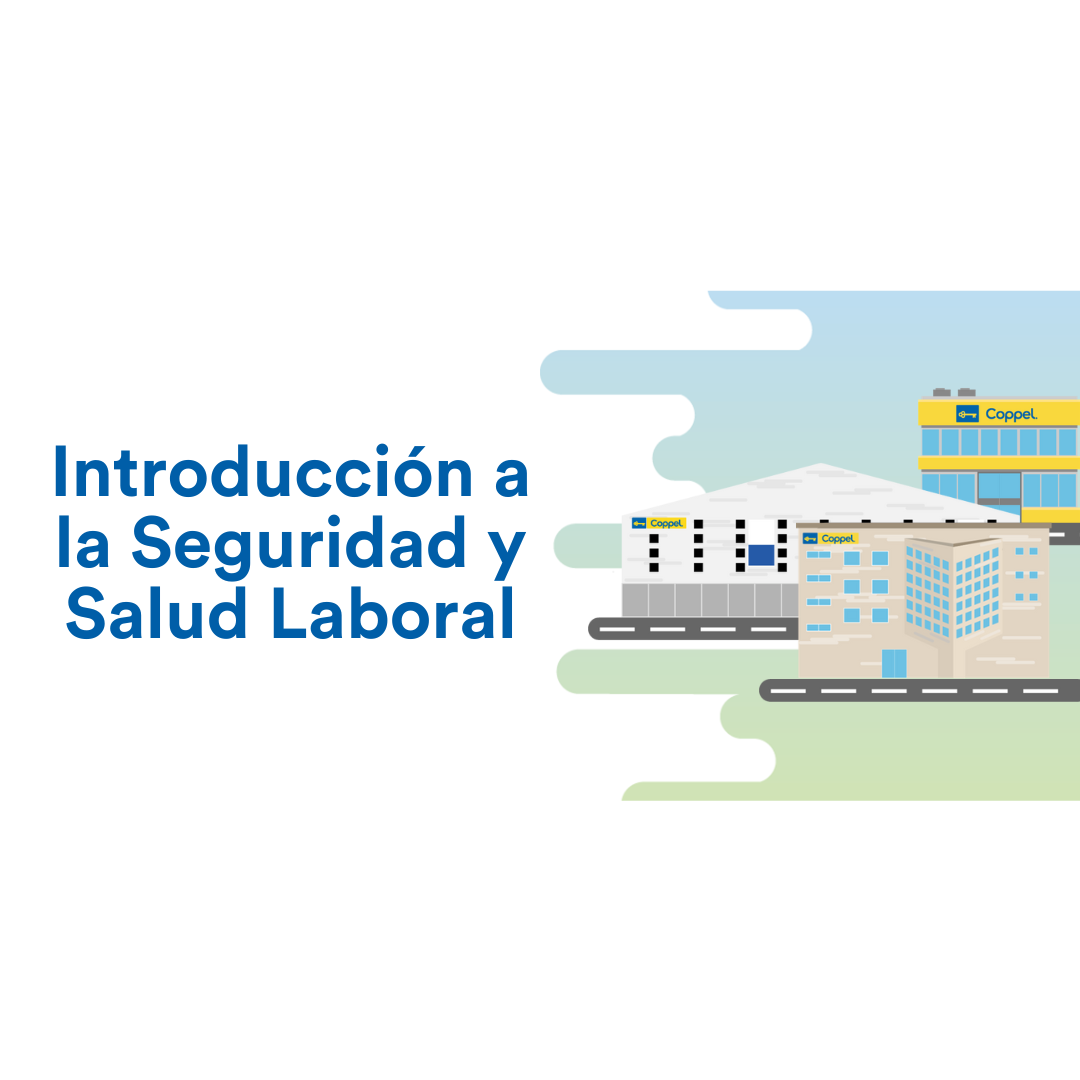 Introducción a la Seguridad y Salud Laboral - Afore